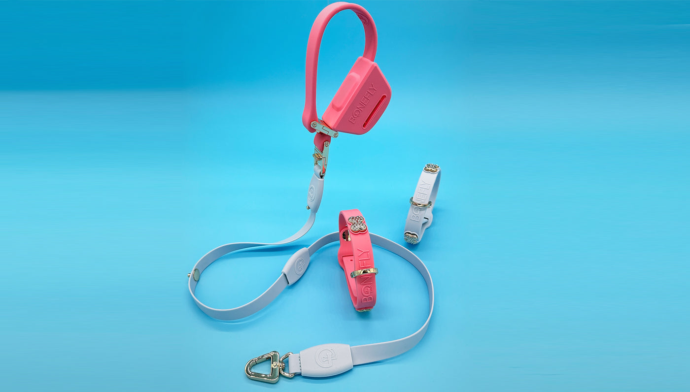 LEASH