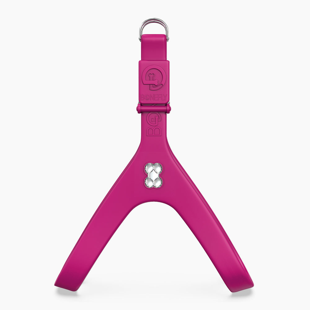 Boneflex Signature Silver Bone Harness
