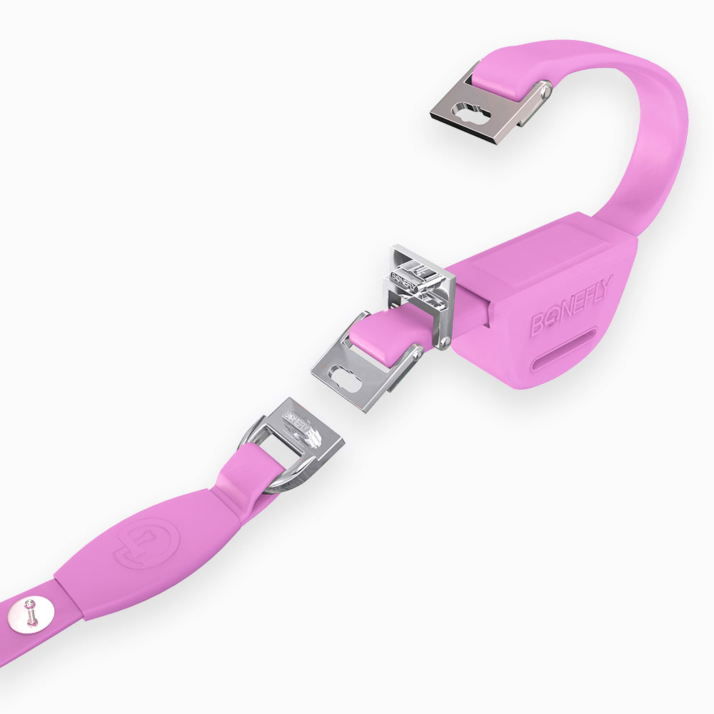 Flexfly 360 Black Bones Leash
