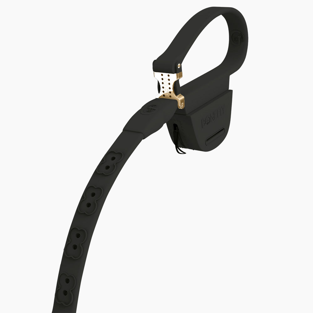 Boneflex leash