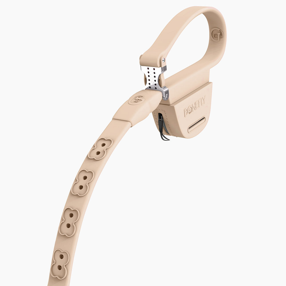 Boneflex leash