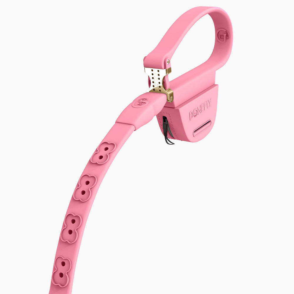 Boneflex leash