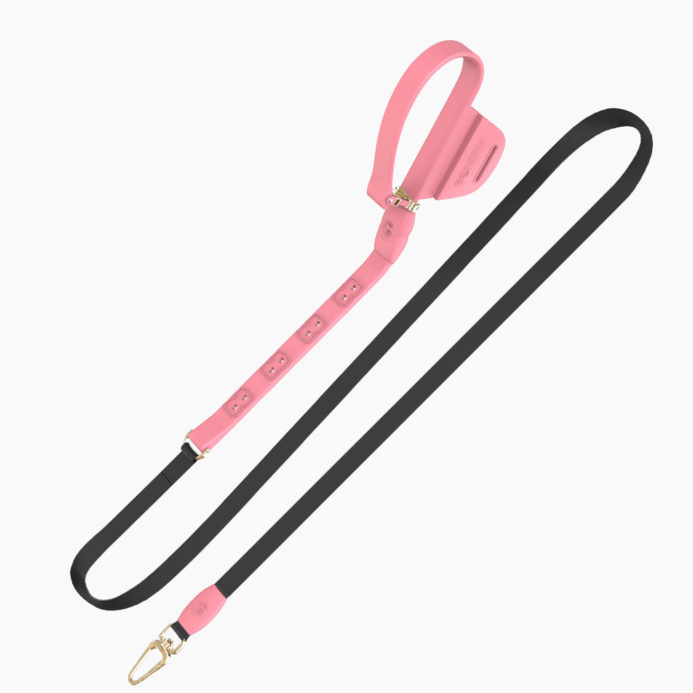 Boneflex leash