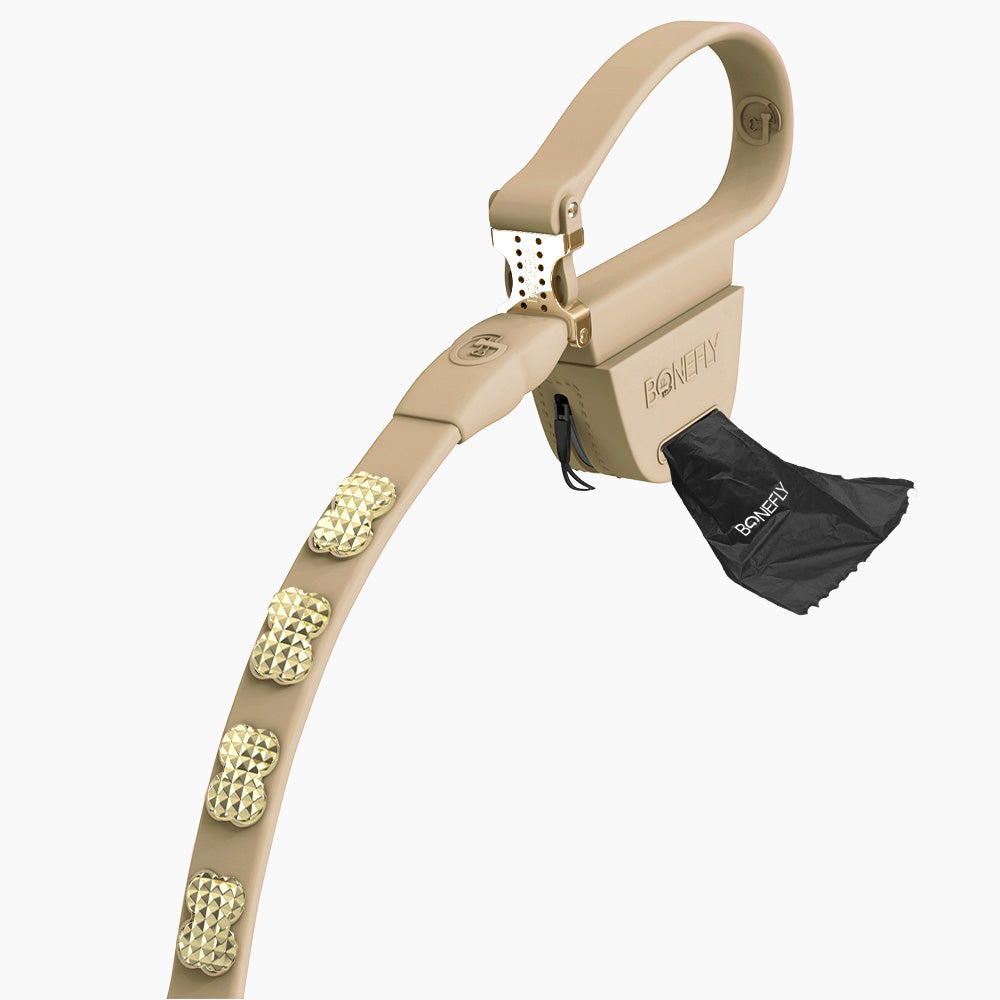 Boneflex Signature Spike Gold Leash