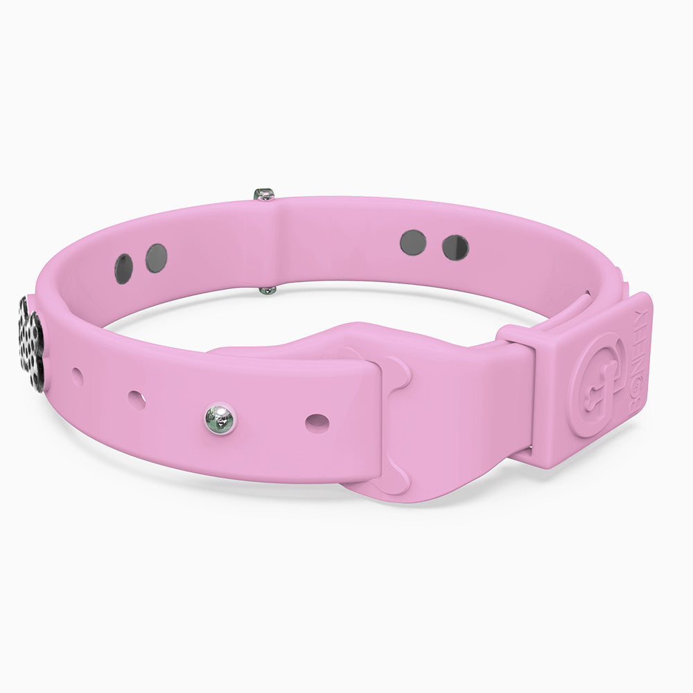 Boneflex Limited Ultra Lavender Collar
