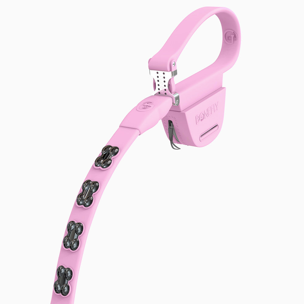 Boneflex Signature Black Bones Leash