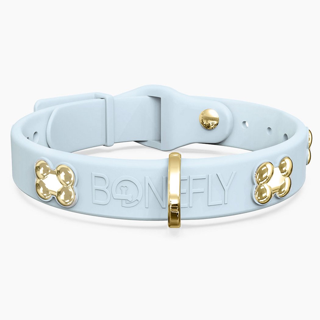 Boneflex Signature Gold Bones Collar
