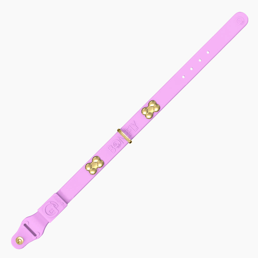 Boneflex+ Signature Gold Bones Collar