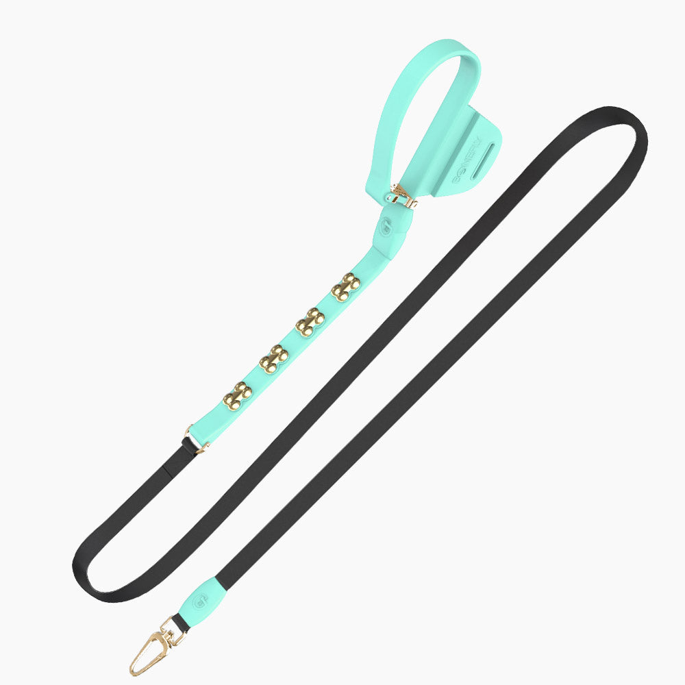 Boneflex Signature Gold Bones Leash
