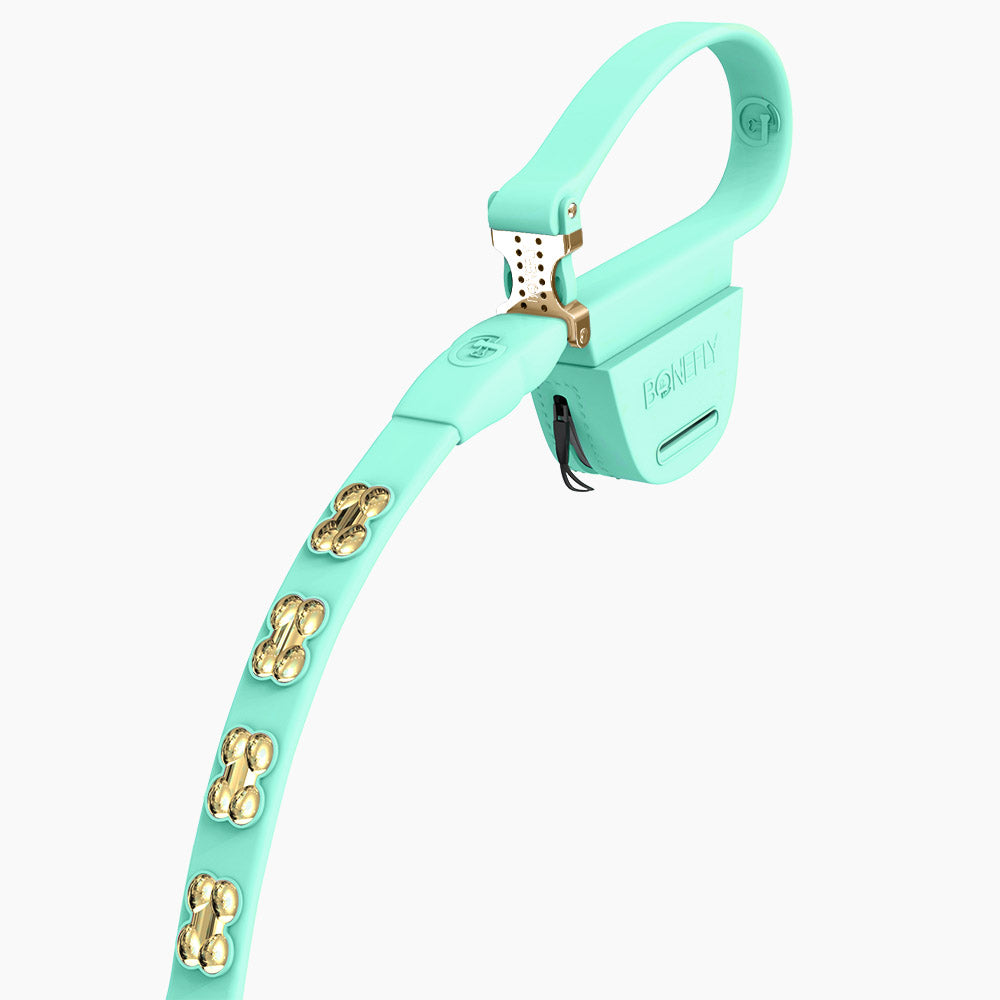 Boneflex Signature Gold Bones Leash