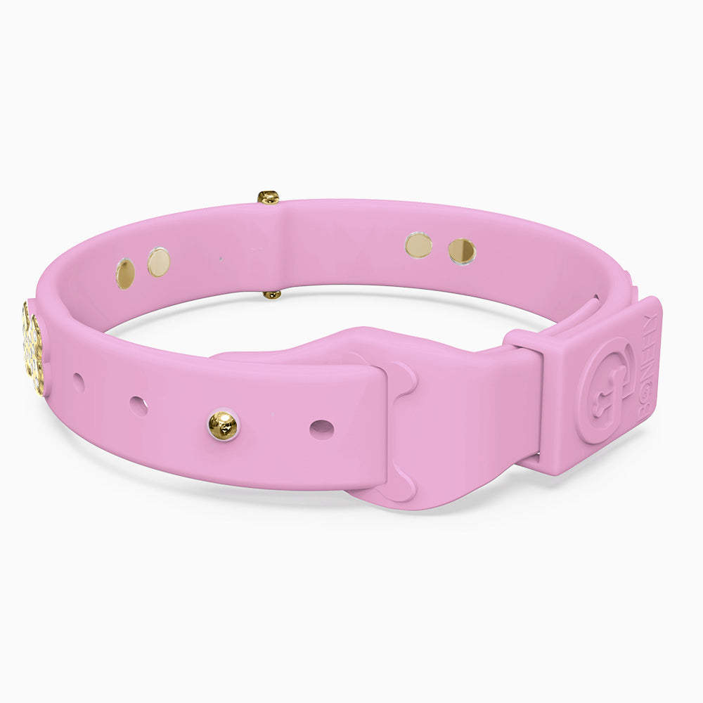 Boneflex Limited Ultra Lavender Collar