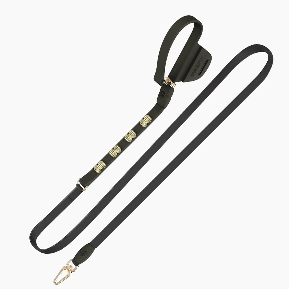 Boneflex Signature Spike Gold Leash
