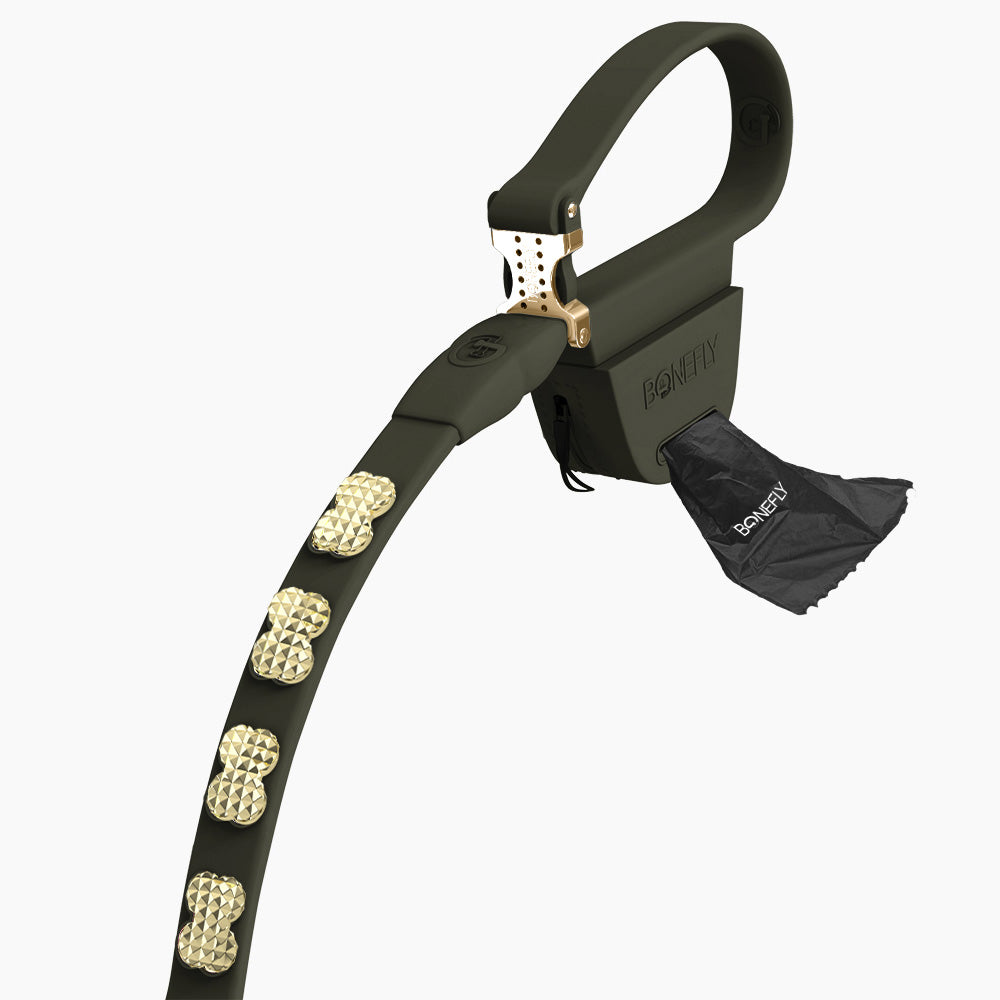 Boneflex Signature Spike Gold Leash