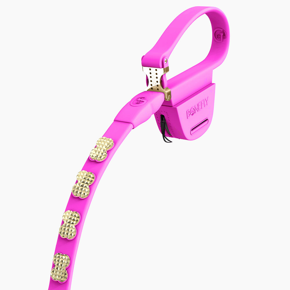Boneflex Signature Spike Gold Leash