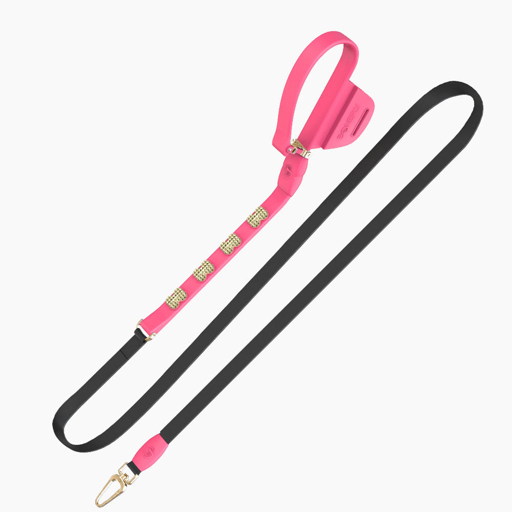 Boneflex Signature Spike Gold Leash