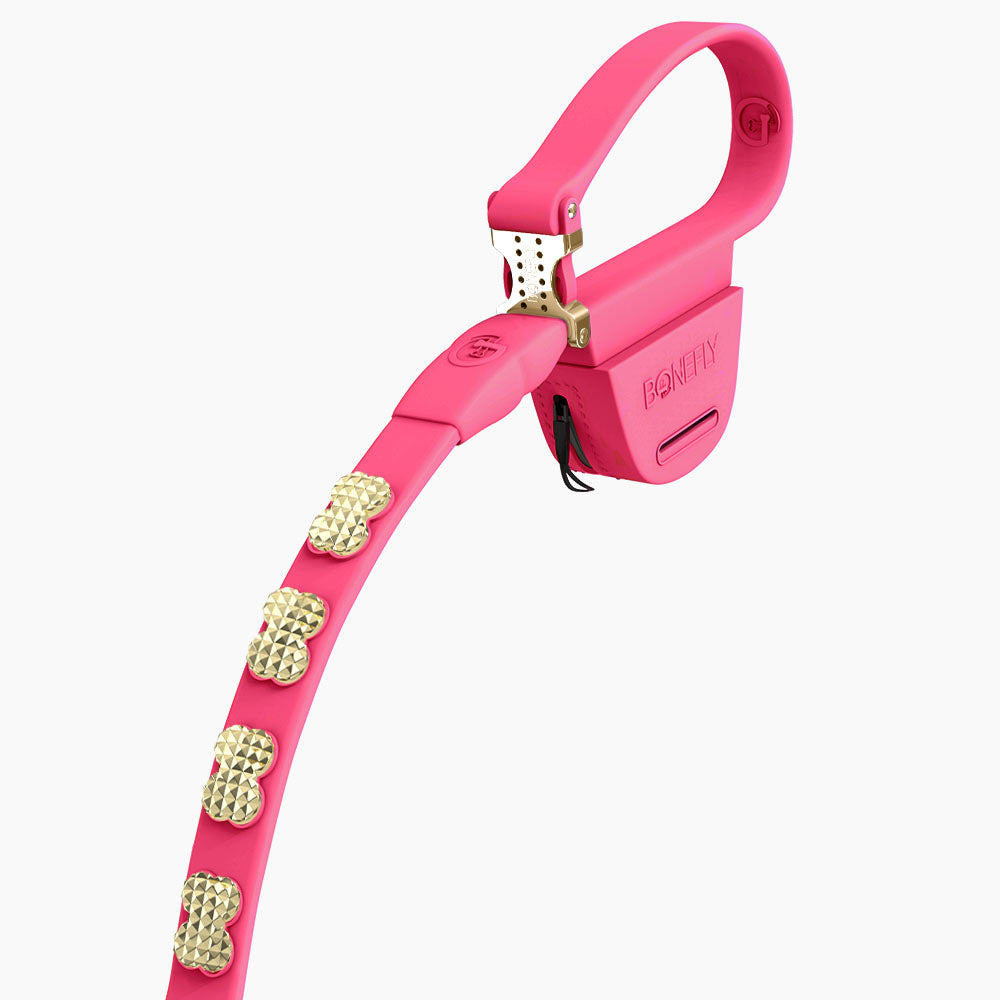 Boneflex Signature Spike Gold Leash