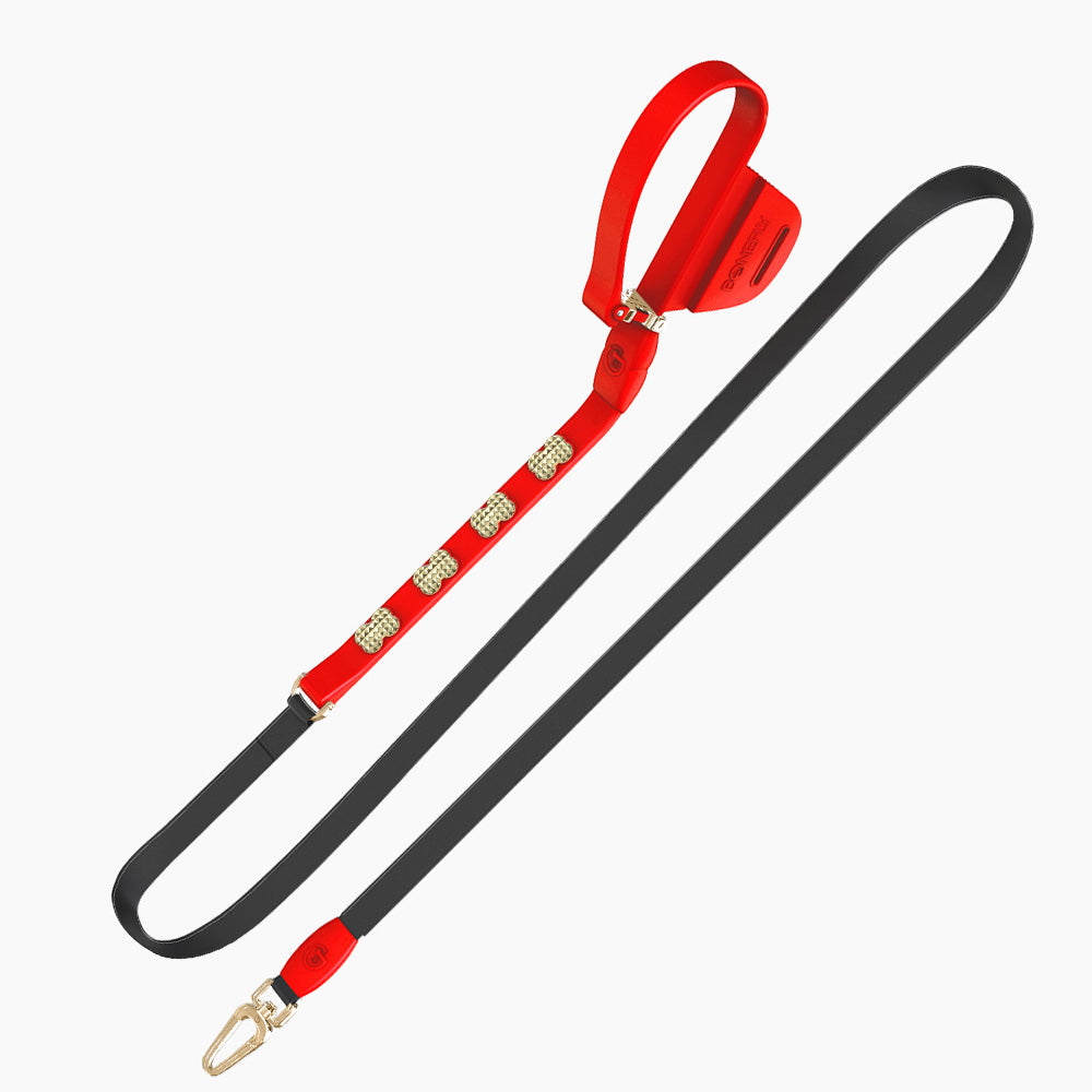 Boneflex Signature Spike Gold Leash