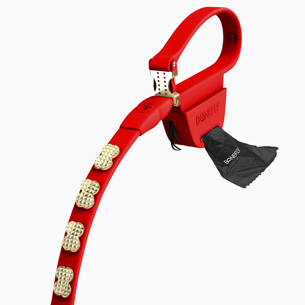 Boneflex Signature Spike Gold Leash