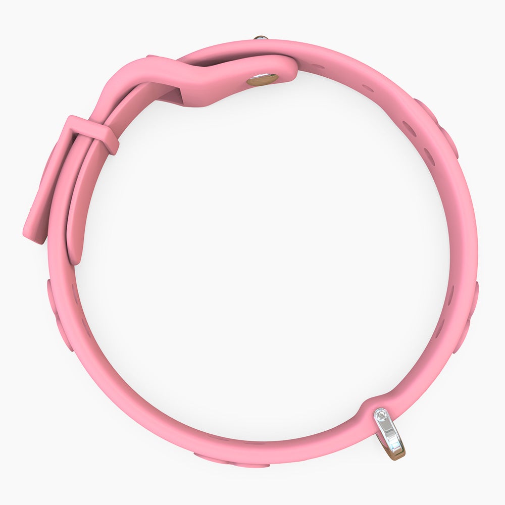 Boneflex Signature Spike Silver Collar