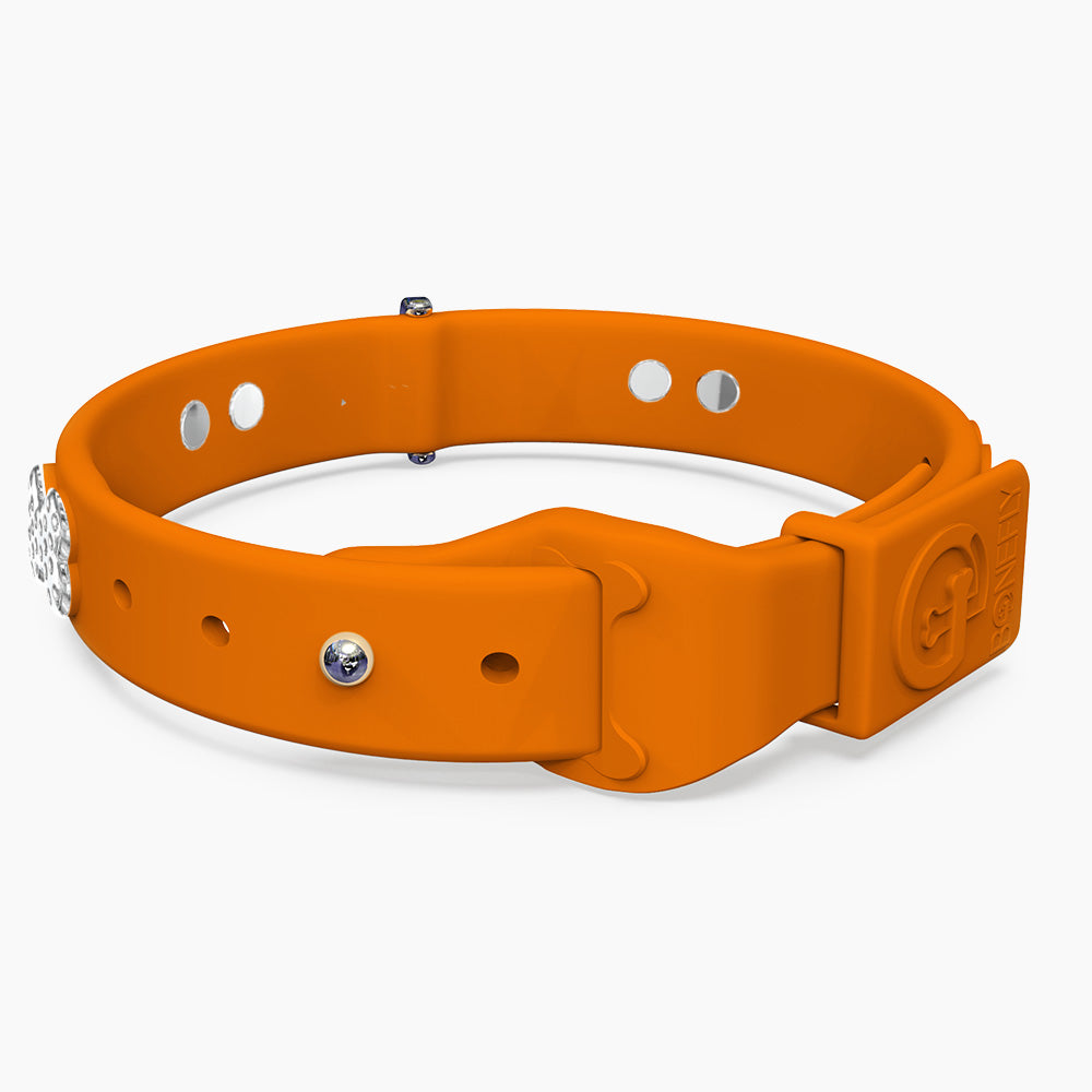 Boneflex Limited Ultra Mandarine Collar