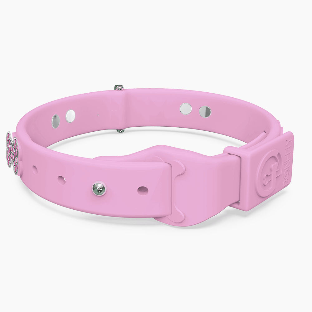 Boneflex Limited Ultra Lavender Collar