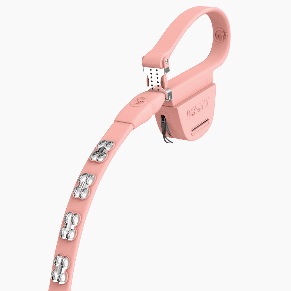 Boneflex Signature Silver Bones Leash