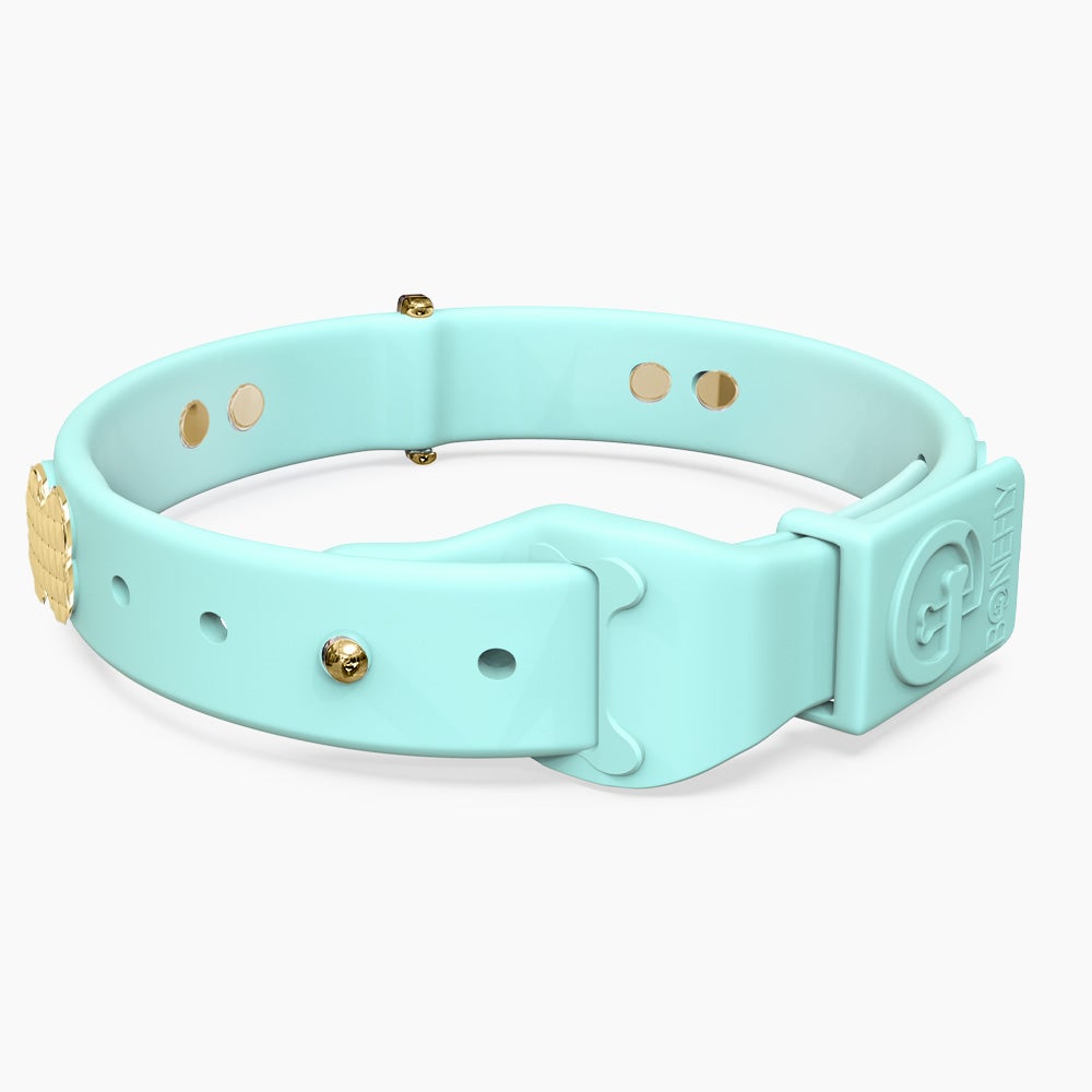 Boneflex Signature Spike Gold Collar