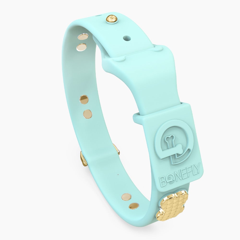 Boneflex Signature Spike Gold Collar