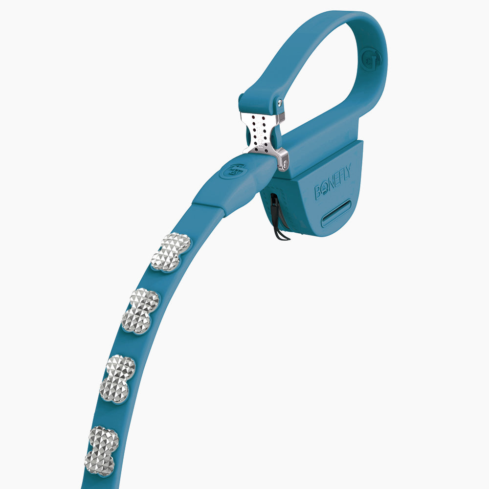 Boneflex Signature Spike Silver Leash