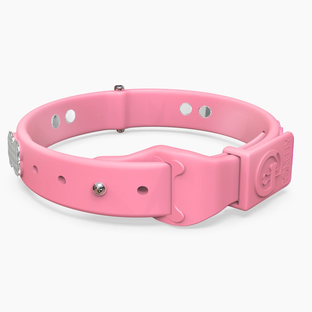 Boneflex Signature Spike Silver Collar