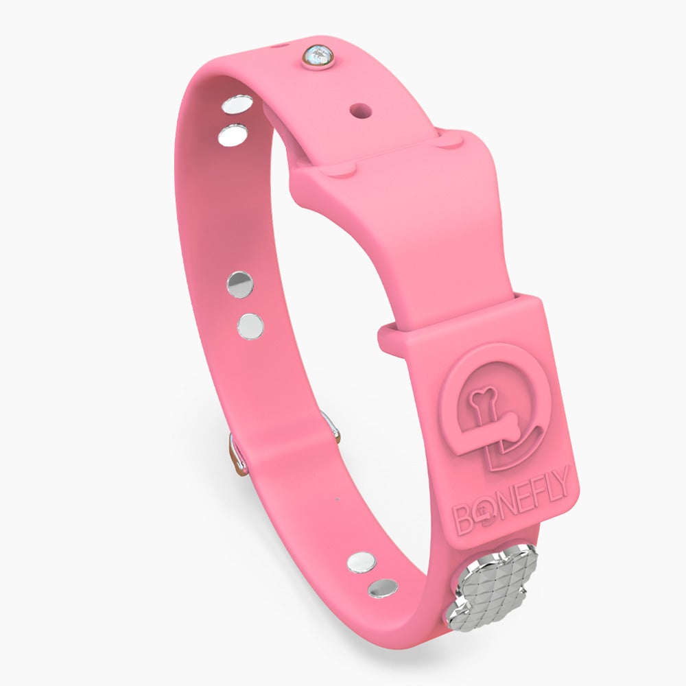 Boneflex Signature Spike Silver Collar