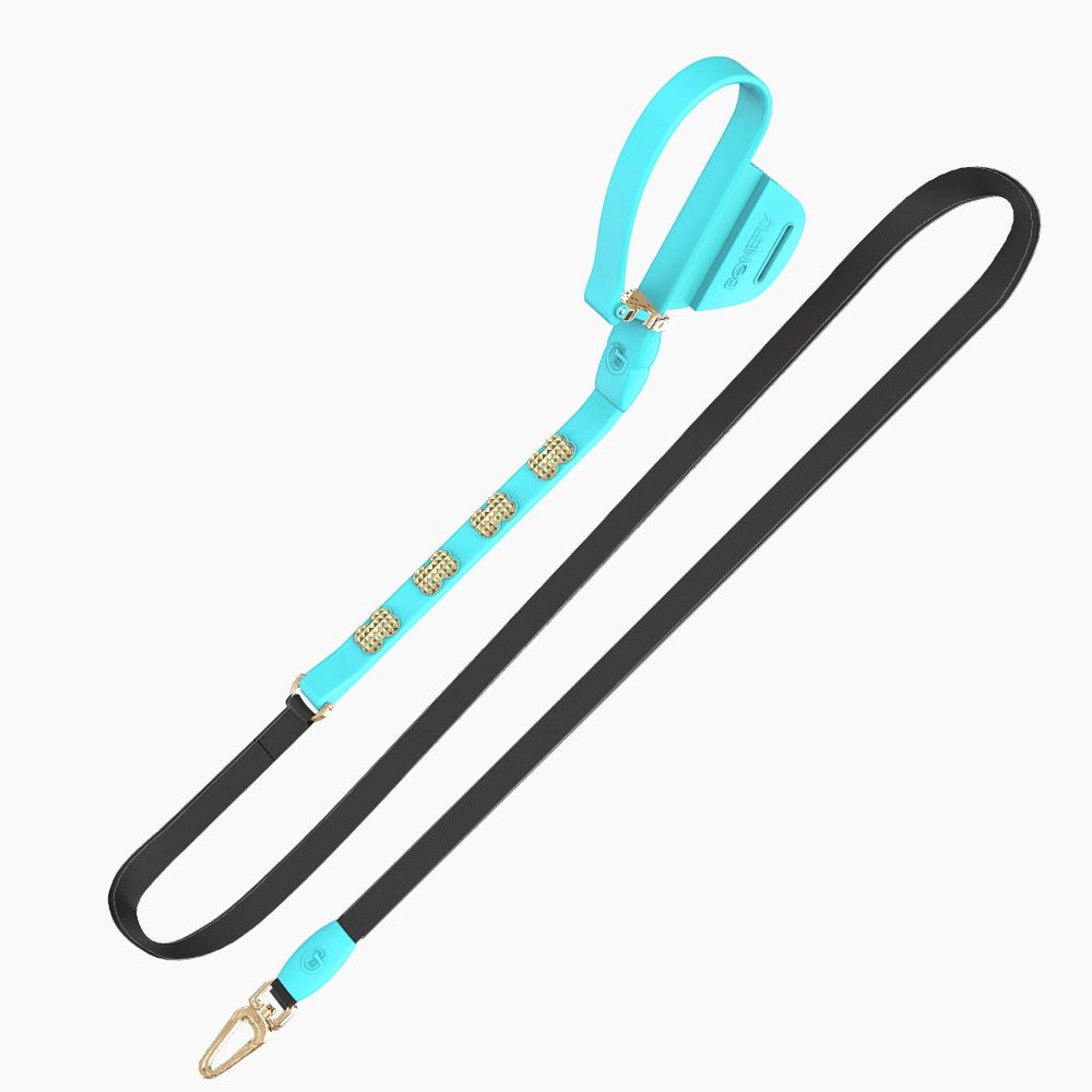 Boneflex Signature Spike Gold Leash