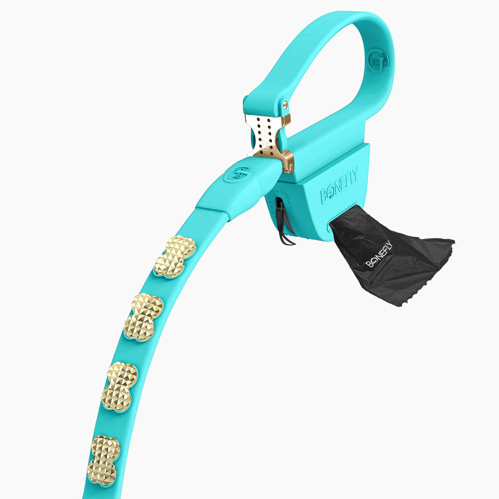 Boneflex Signature Spike Gold Leash