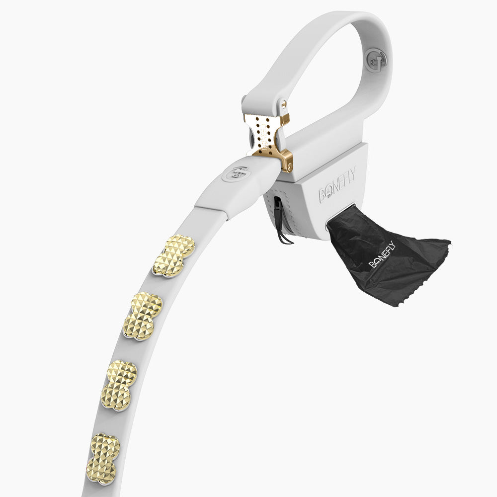 Boneflex Signature Spike Gold Leash