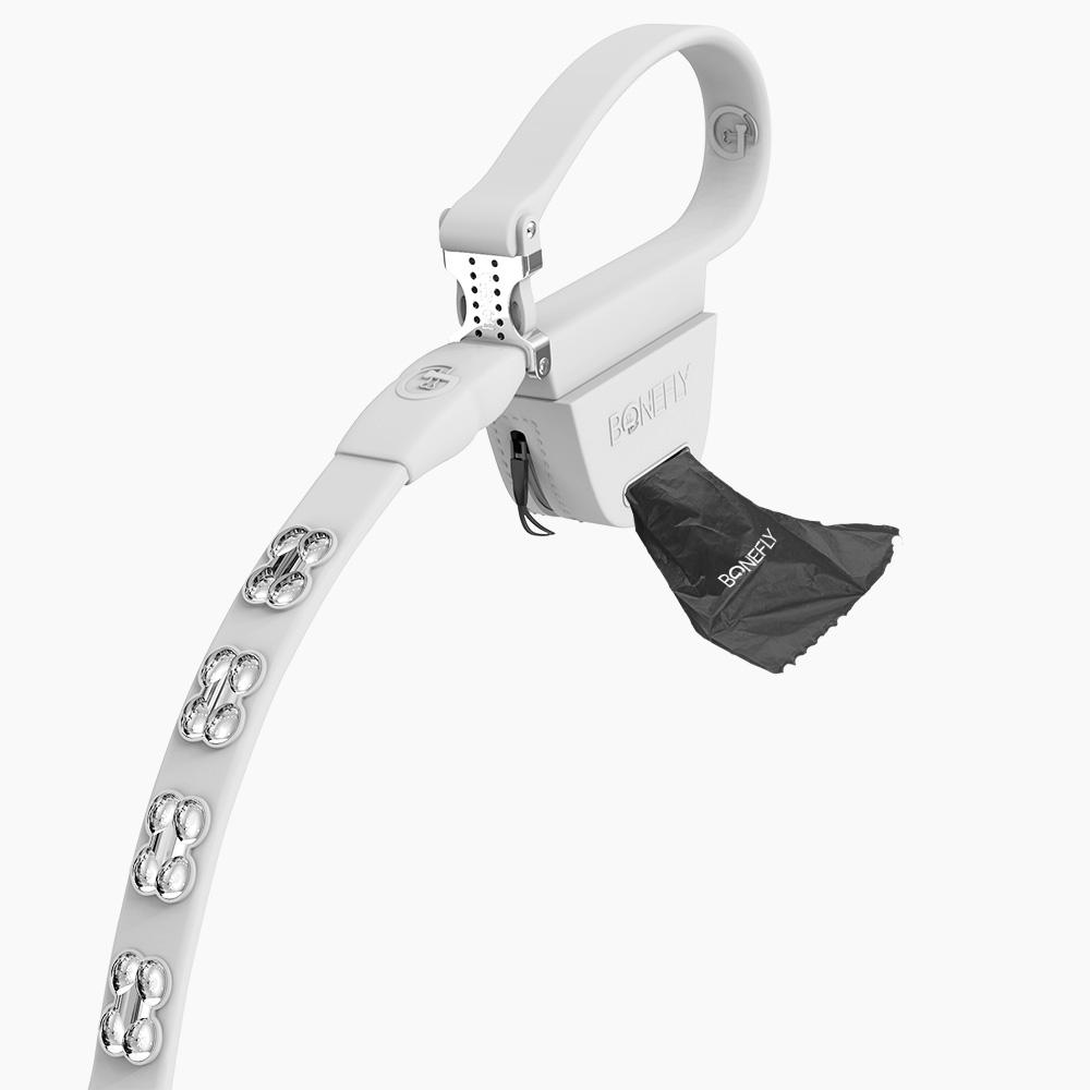 Boneflex Signature Silver Bones Leash