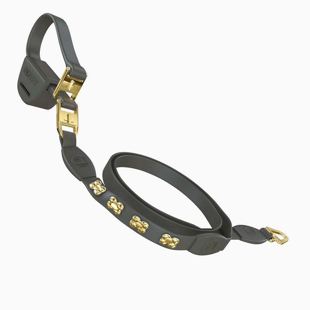 Flexfly 360 Gold Bones Leash