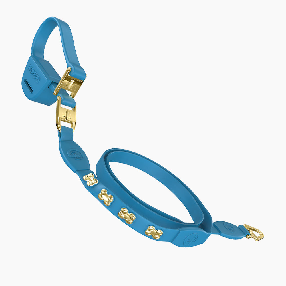 Flexfly 360 Gold Bones Leash