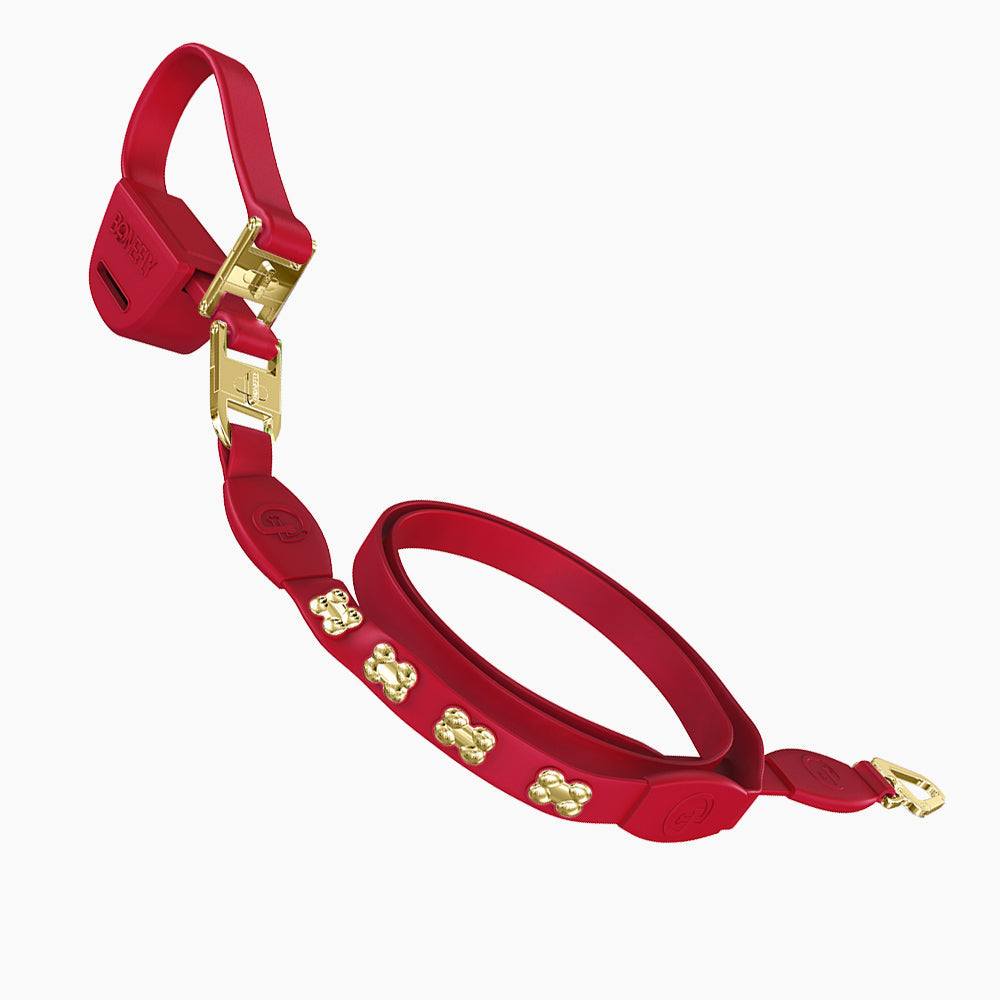 Flexfly 360 Gold Bones Leash