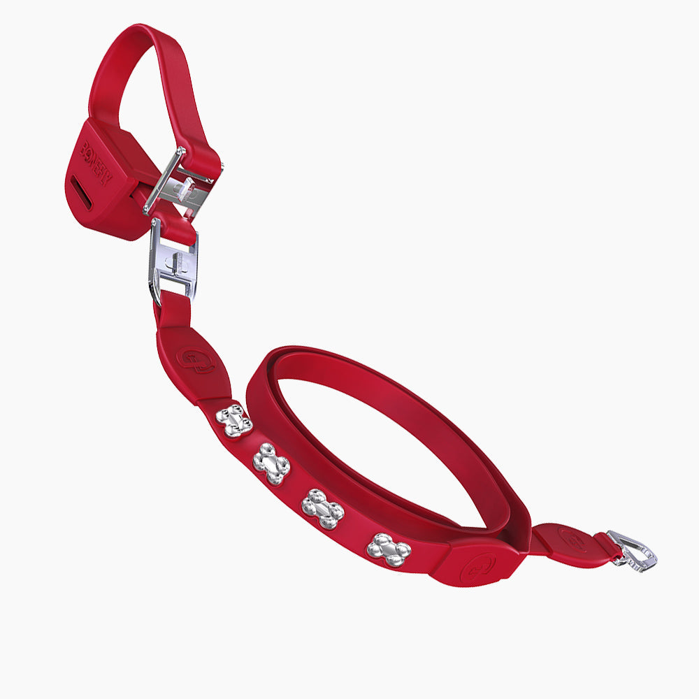 Flexfly 360 Siver Bones Leash