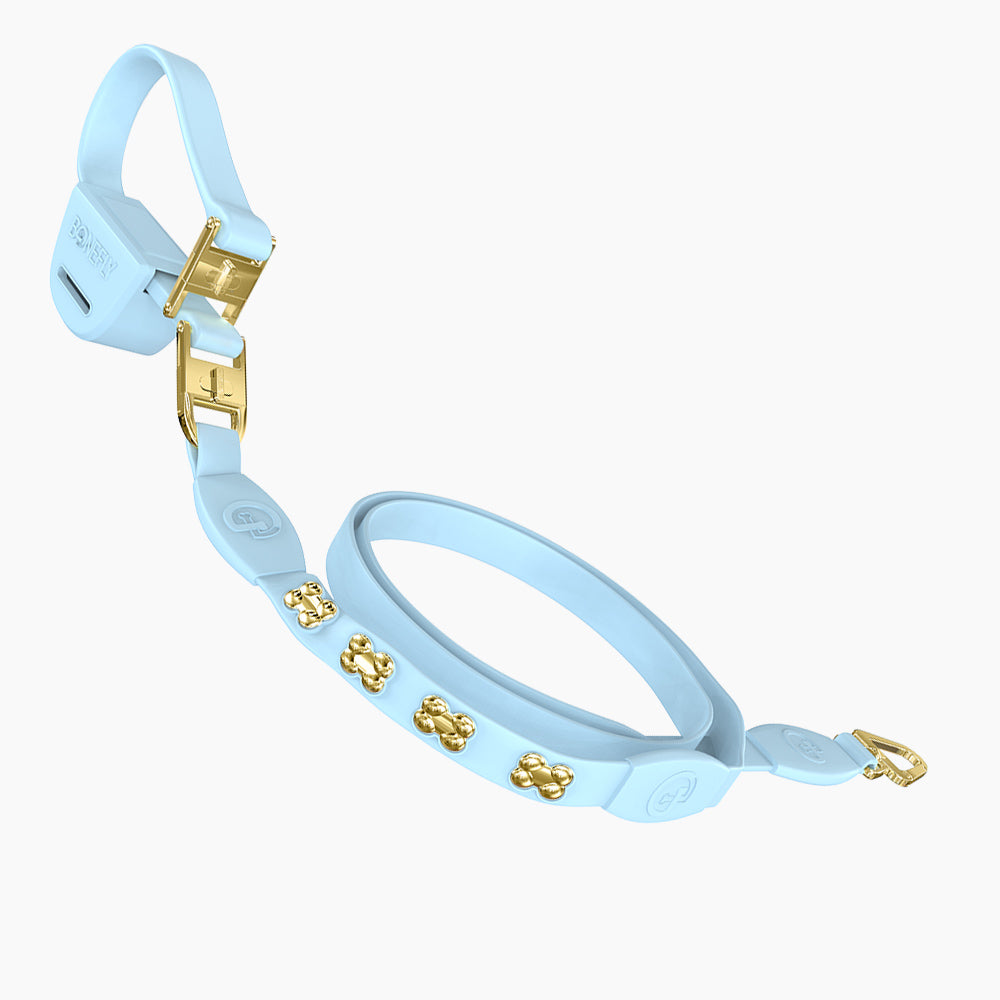 Flexfly 360 Gold Bones Leash