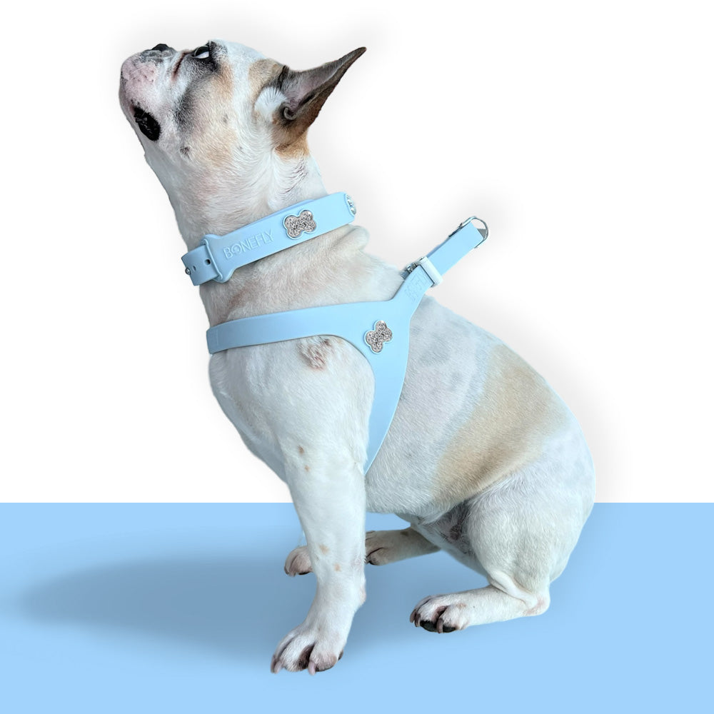 Boneflex Ultra Sky Harness