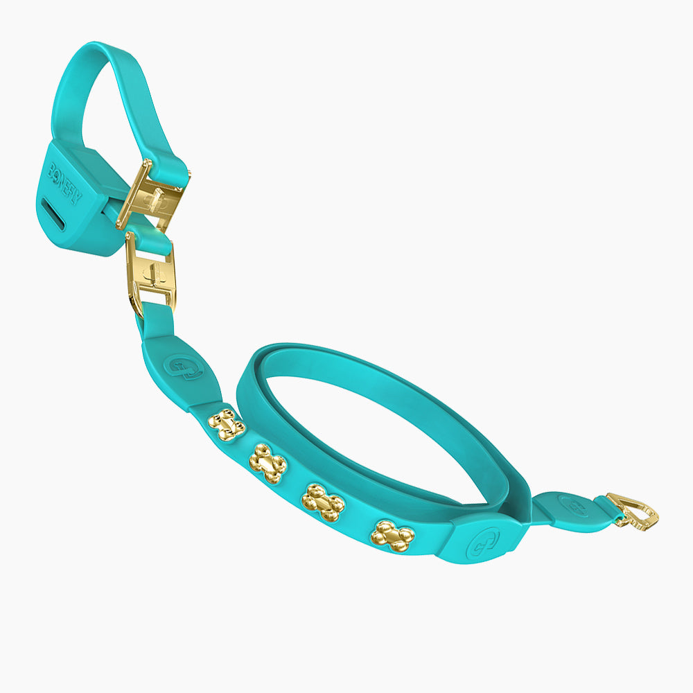 Flexfly 360 Gold Bones Leash