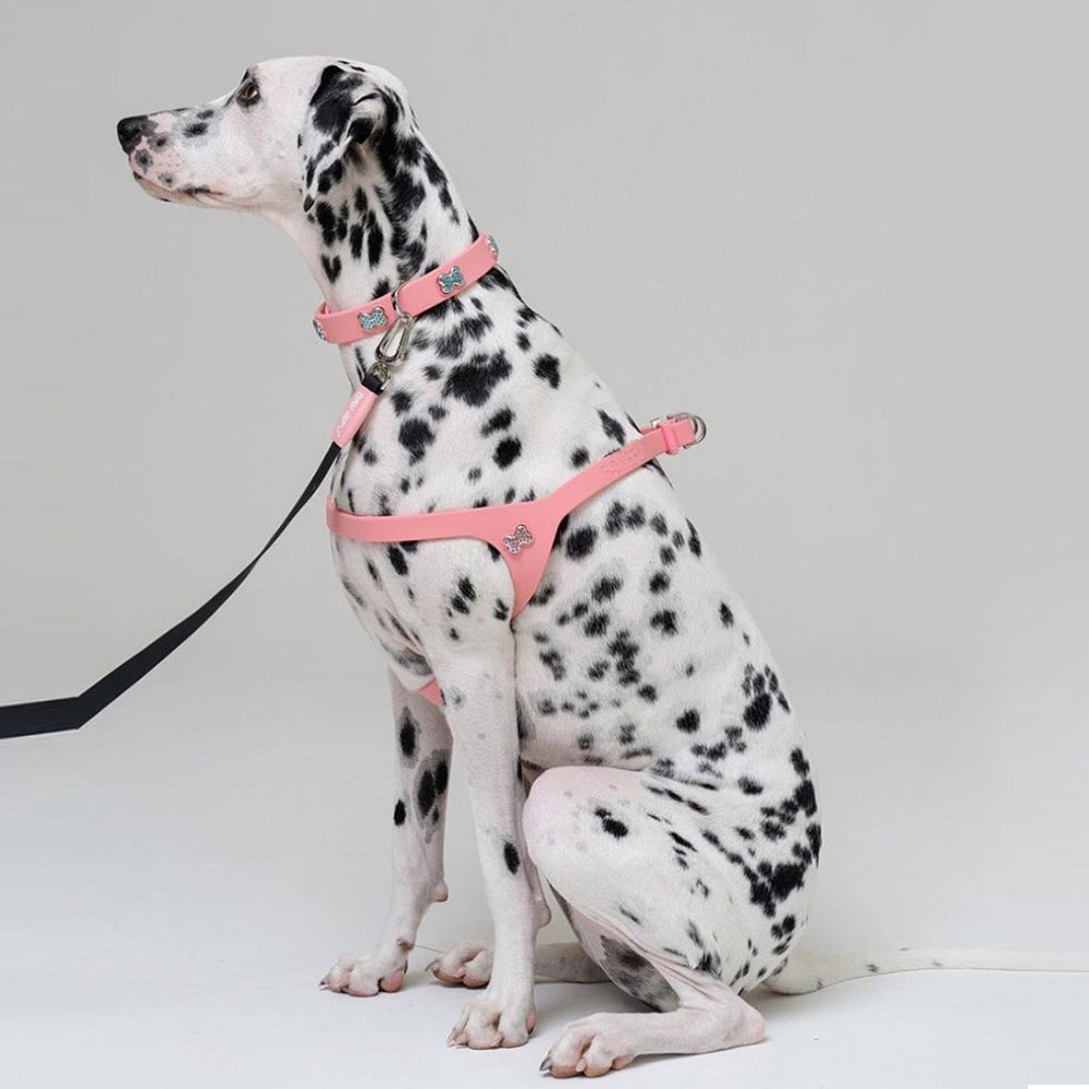 Boneflex Ultra Baby Pink Harness