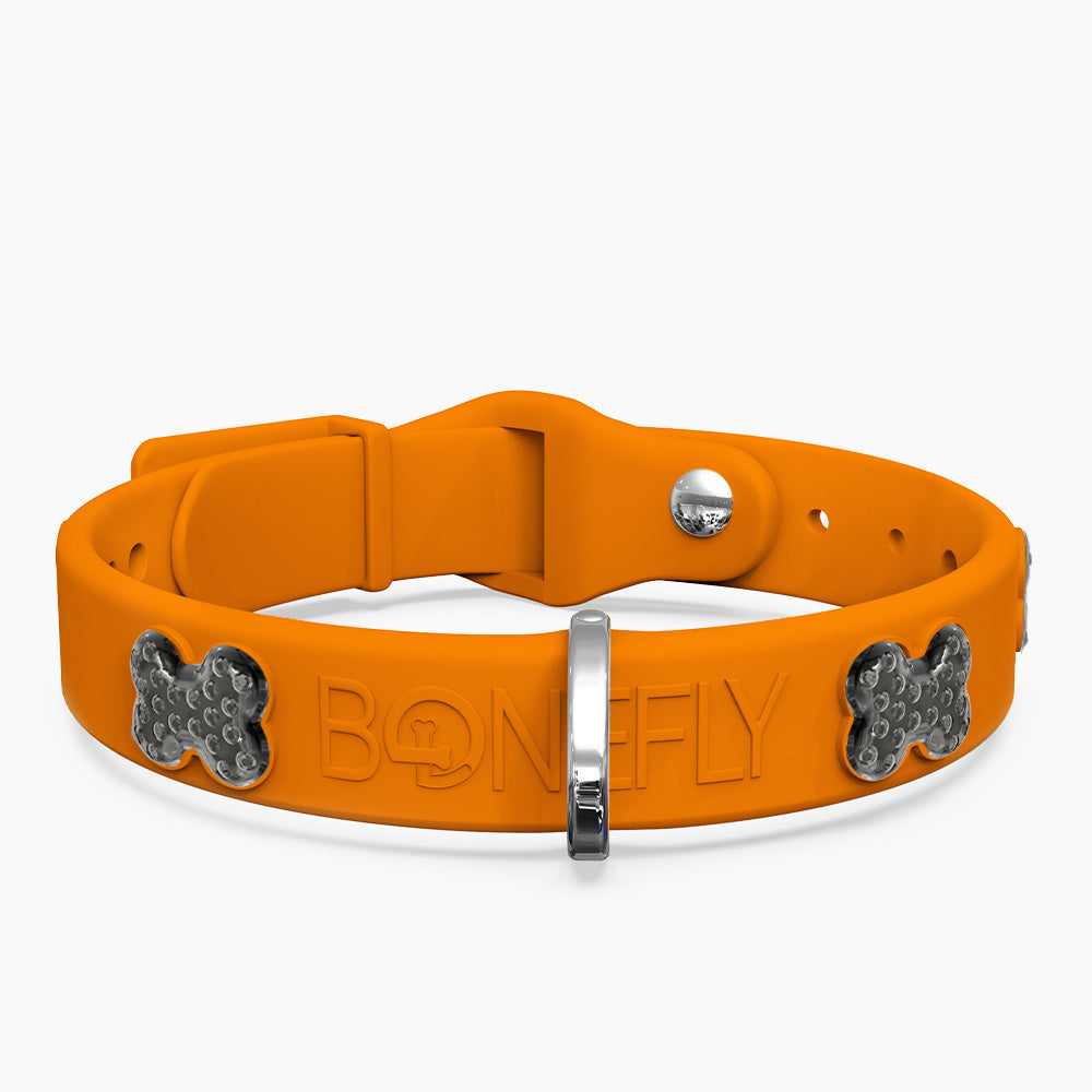 Boneflex Limited Ultra Mandarine Collar