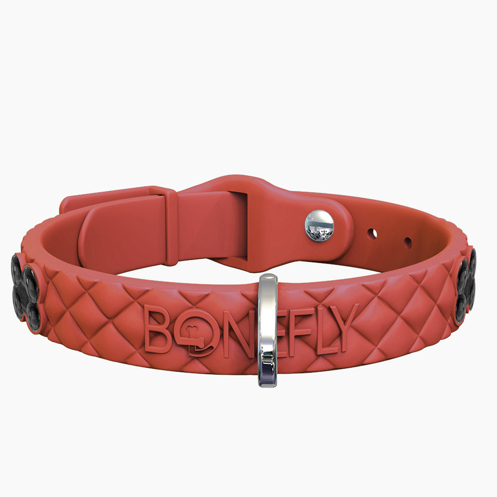 QuiltFLY Signature Black Bones Collar