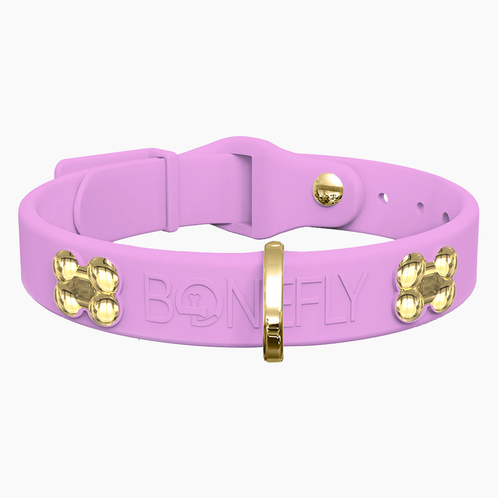 Boneflex+ Signature Gold Bones Collar