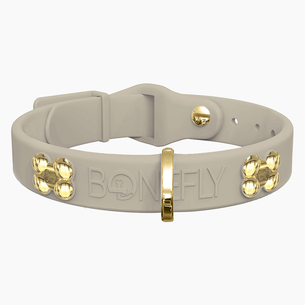 Boneflex+ Signature Gold Bones Collar