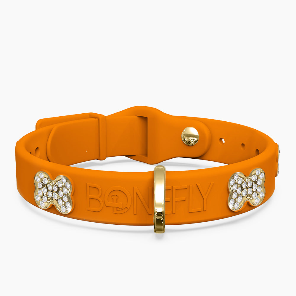 Boneflex Limited Ultra Mandarine Collar