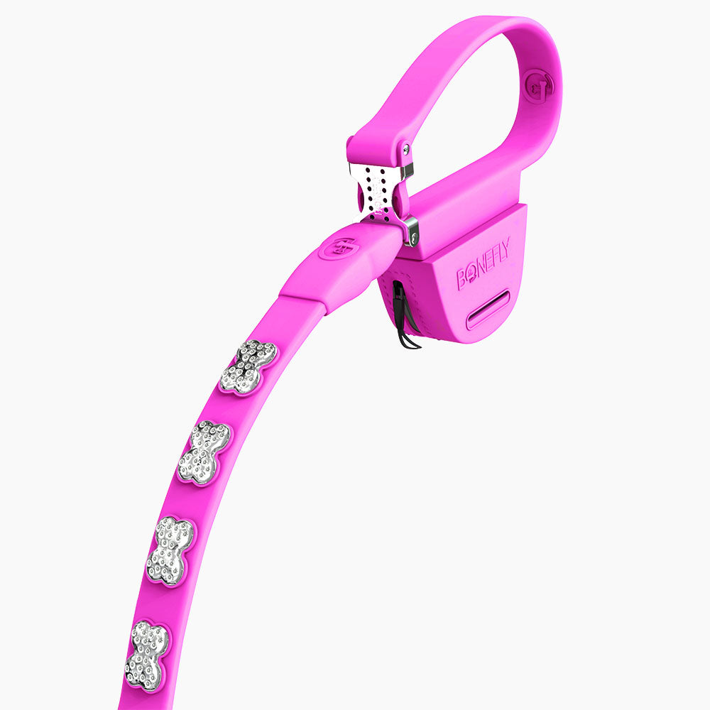 Boneflex Ultra Hot Pink Leash