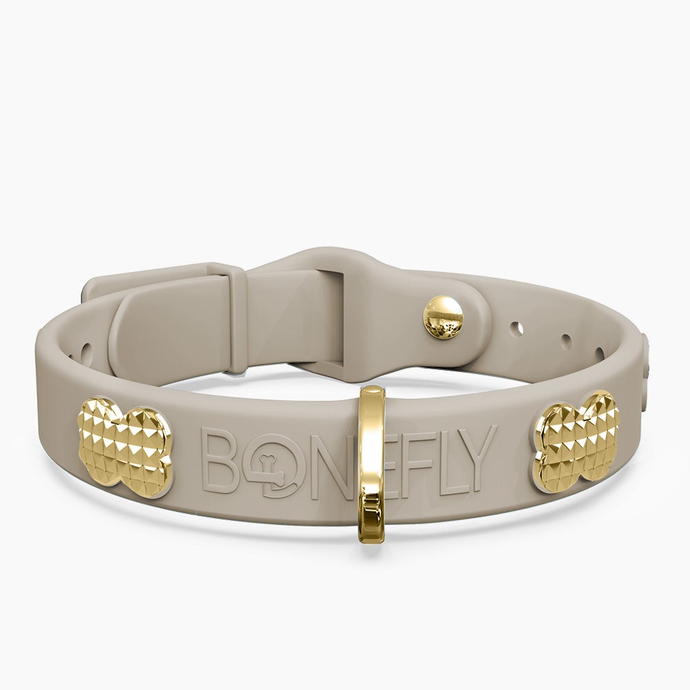Boneflex Signature Spike Gold Collar